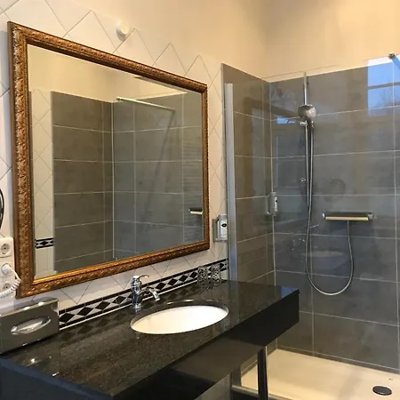 Prinzenpalais מלון 4*