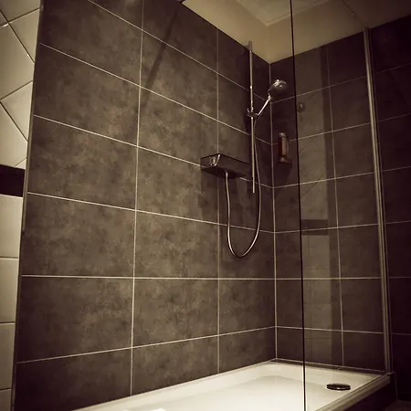 מלון Prinzenpalais 4*